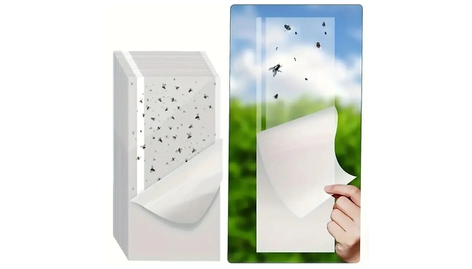 Clear Window Fly Traps - 6, 12 or 20-Pack