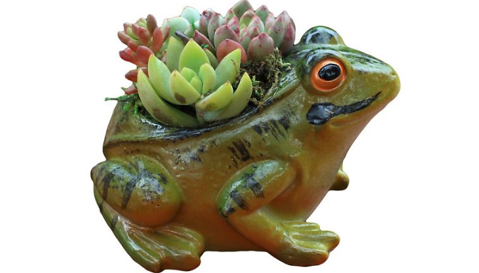 Mini Frog Flower Pot - 1 or 2-Pack