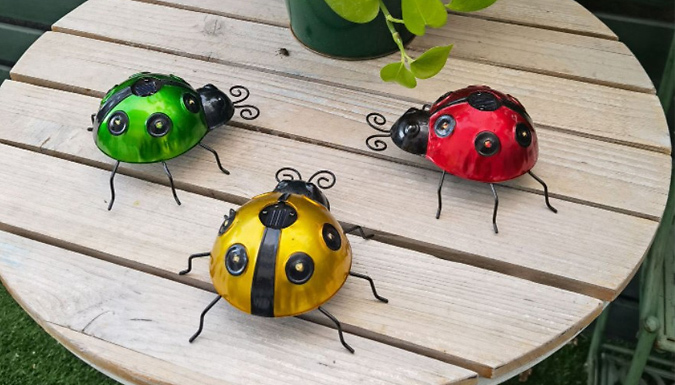 1 or 3 Solar Light-Up Ladybird Garden Decorations - 3 Colours