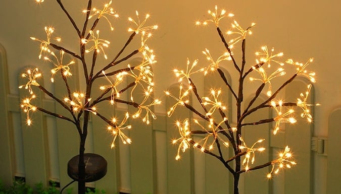1, 2 or 4-Pack of Solar Dandelion Lights. - 2 Colours. from Go Groopie IE