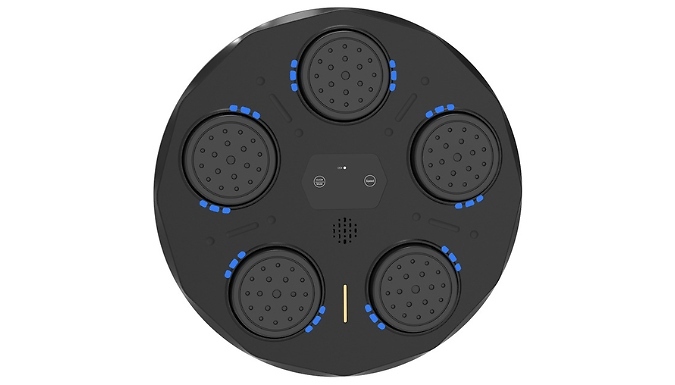 Home Smart Boxing Wall Target - with Bluetooth Music Function