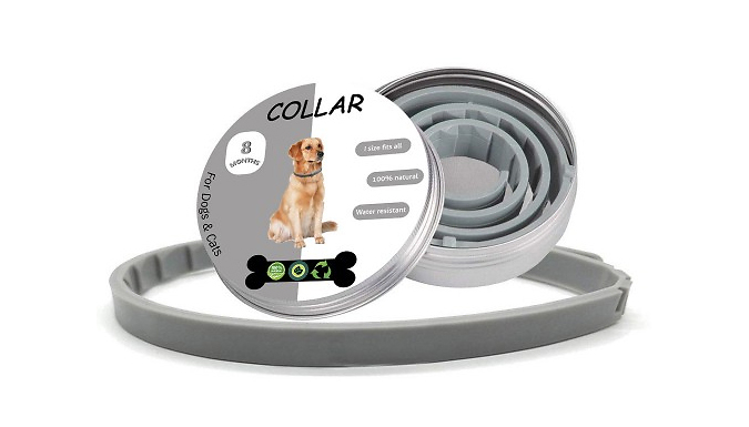 FleaFlee Dog Collar