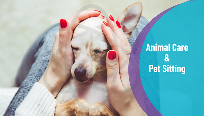 Animal Care and Pet Sitting Course