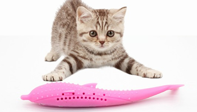 Silicone Cat Tooth Cleaning Toy - 3 Colours Silicone Cat Tooth Cleaning Toy - 3 Colours