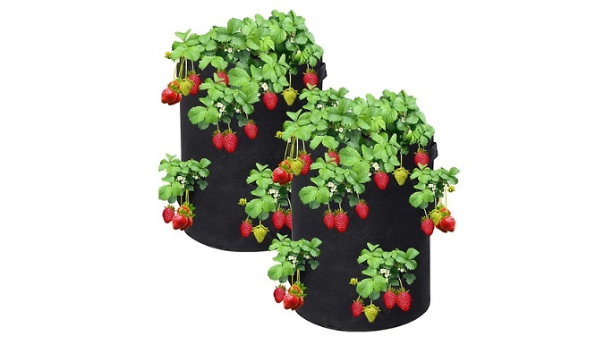 2-Pack Perforated Hanging Planting Bags