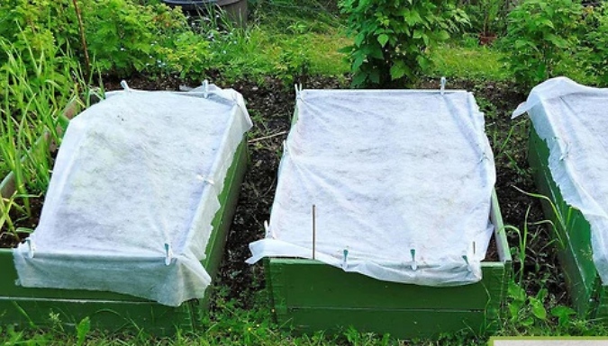 Fabric Plant Protective Cover - 4 Sizes!