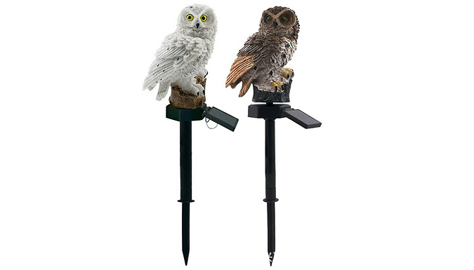 Solar Powered Realistic Owl Stake Garden Light - 2 Colours