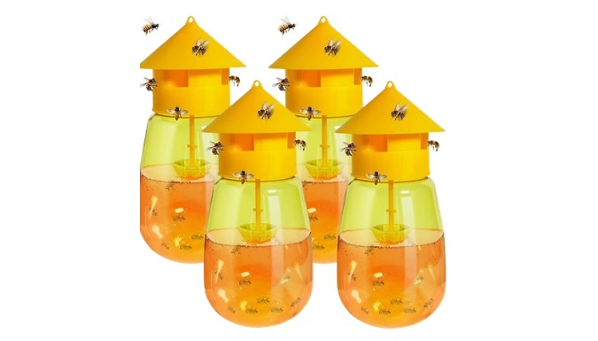 4-Pack Hanging Fruit Fly Traps at Go Groopie IE