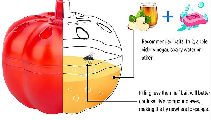 2 or 4 Pumpkin Insect-Alluring Fly Traps