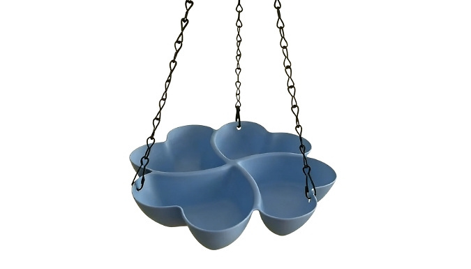 Outdoor Hanging Bird Feeder - 5 Colours at Go Groopie IE
