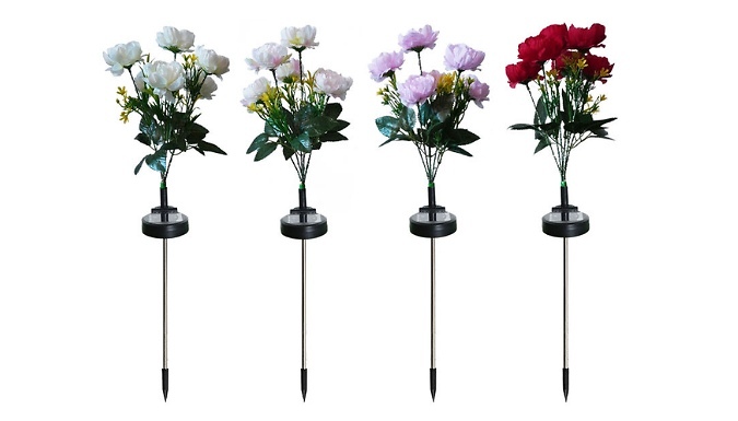 Solar-Powered Flower Garden Lights - 4 Colours!