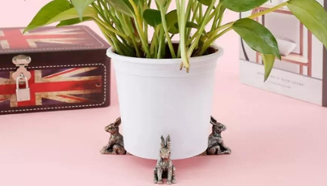 1 or 2 Sets of Animal-Shaped Plant Pot Holders - 6 Designs. at Go Groopie