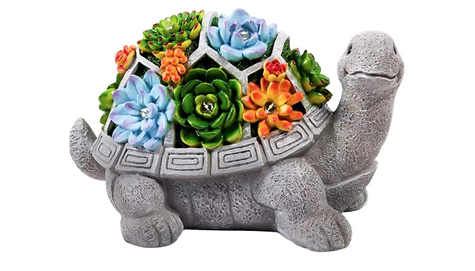Smiling Tortoise Solar Light at Go Groopie