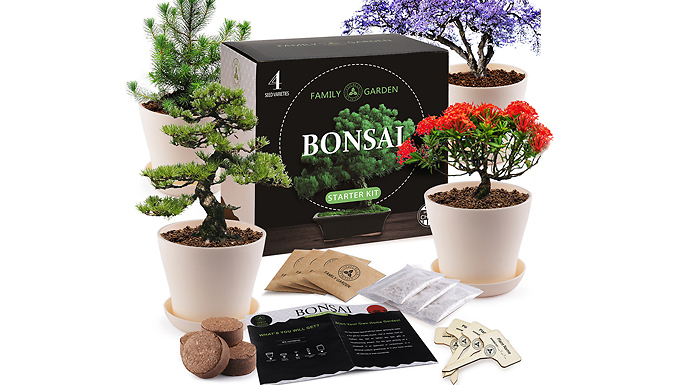 Mini Bonsai Growing Kit