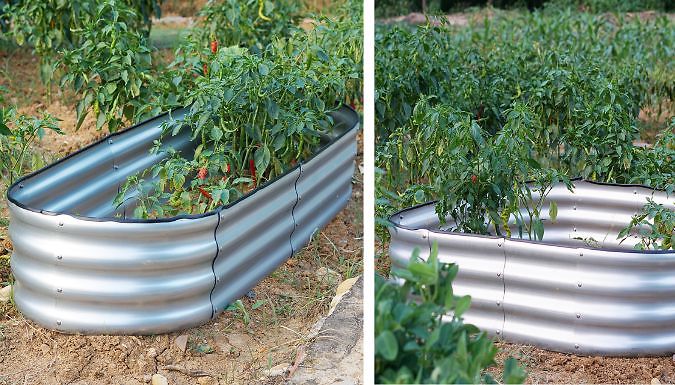 Raised Metal Planter - 6 Sizes, 2 Colours