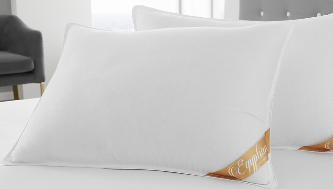 2-Pack of Anti-Allergen Hotel Collection Pillows