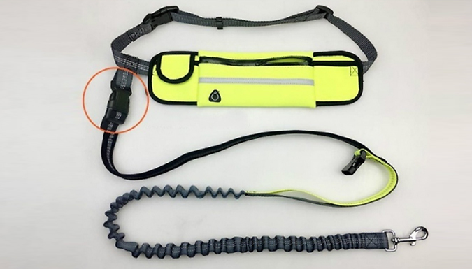 2-in-1 Running Belt with Pockets + Pet Traction Lead