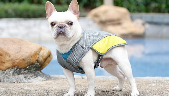 CanineCool Summer Vest - 3 Sizes