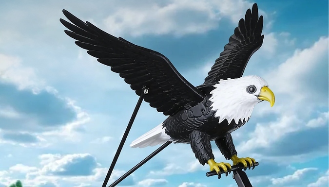 Eagle Decoy Bird Repeller