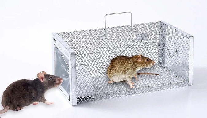 2-Pack Galvanised Metal Continuous Rat Traps - 2 Sizes!