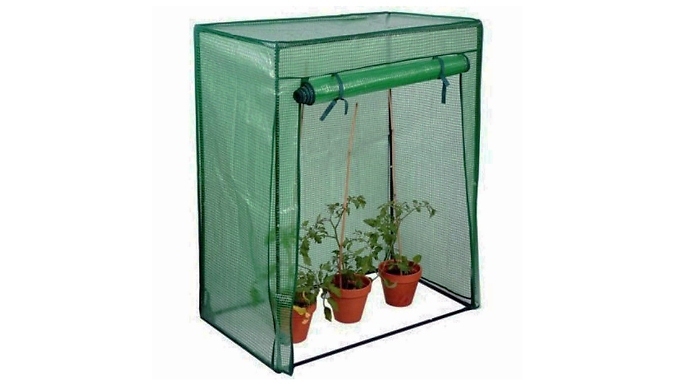 Mini Tomato Greenhouse