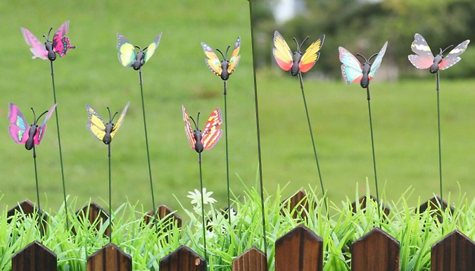 10-Pack of Assorted Colourful Butterfly Stakes