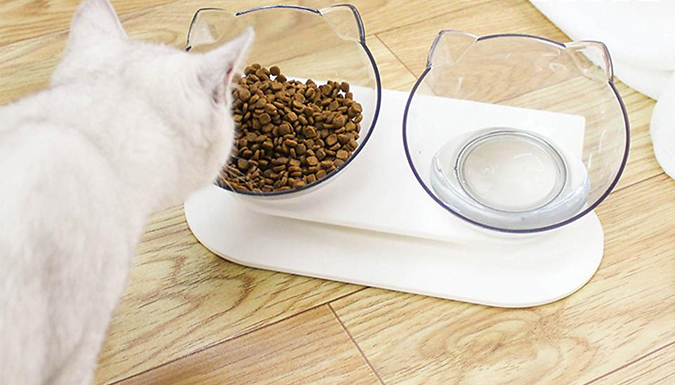 Double Cat-Ears Food Bowl With Stand