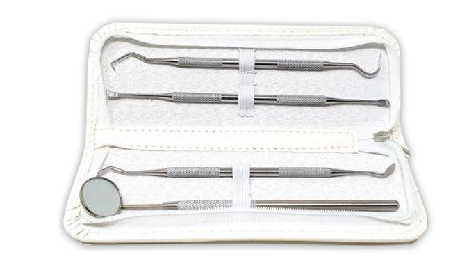 Glamza 4-Piece Stainless Steel Dental Kit with Case