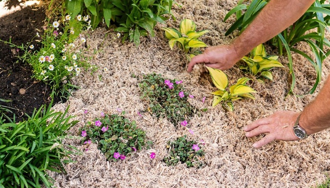 10L INCREDi Mulch Plus Bag - 1 or 2 Pack!