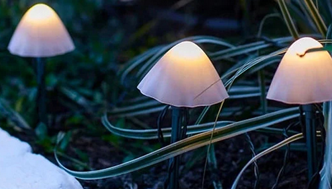 Mushrooms Solar Lights – 3.8m or 6.5m & 2 Colours Deal Price £11.99