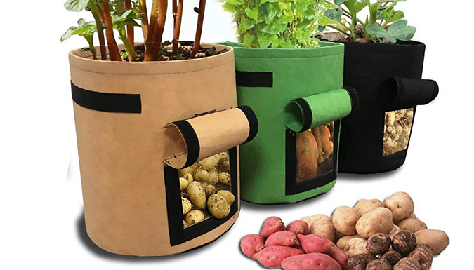 Prime Supply 1, 2 or 3 Vegetable Cultivation Planters - 3 Colours