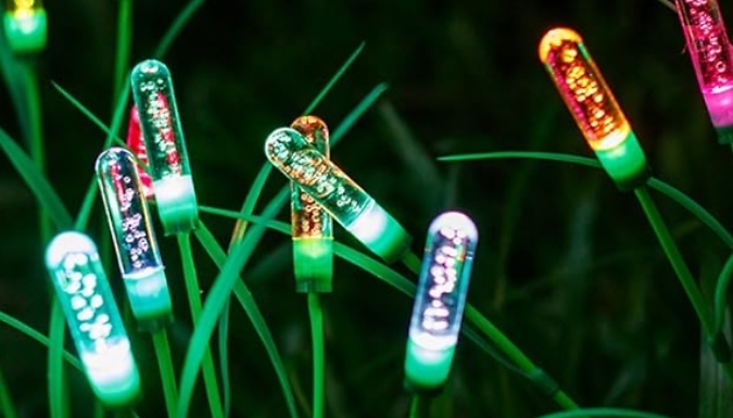 1, 2 or 4-Pack of Reed Solar Garden Lights - 2 Colours