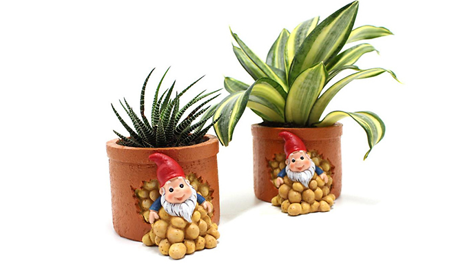 Garden Gnome Flower Pot