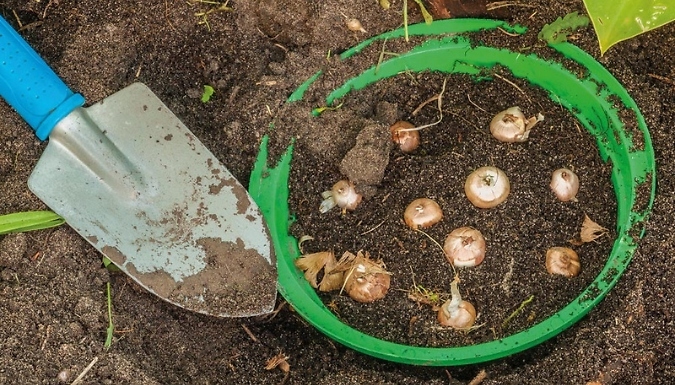 Gardening Bulb Basket Set - 3, 5 or 10 Pack
