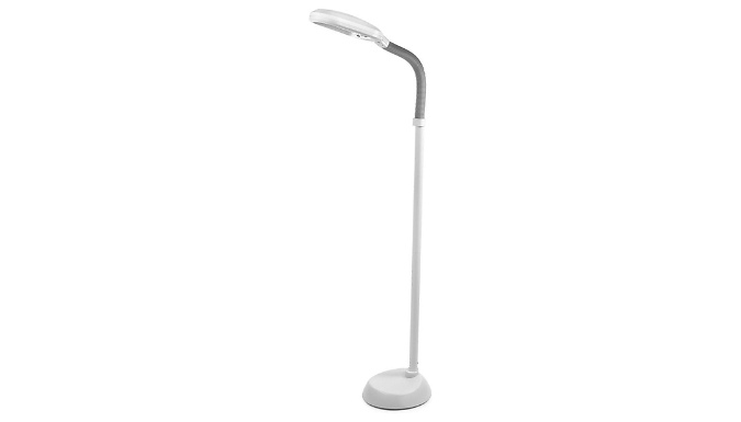 LED Standing Floor Reading Lamp - 2 Colours