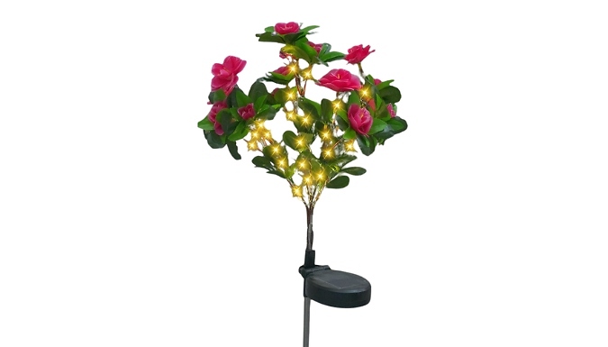 Outdoor Azalea LED Solar Lights - 3 Colours