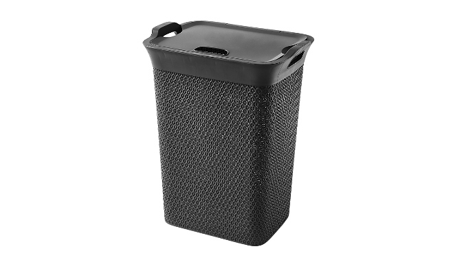 65L Plastic Laundry Basket With Lid - 3 Colours