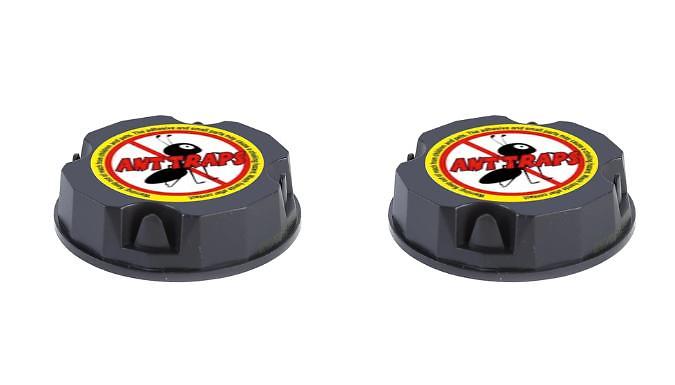 2, 4 or 6-Pack of Ant Trap Bait Stations