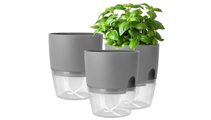 1, 2 or 4-Pack Self Watering Plant Pots - 2 Colours & 4 Sizes