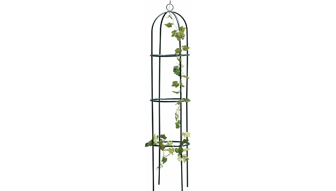 Garden Steel Rose Climbing Obelisk