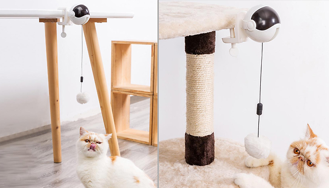 Justgiftdirect Electric Spring-Ball Cat Toy - 2 Colours!