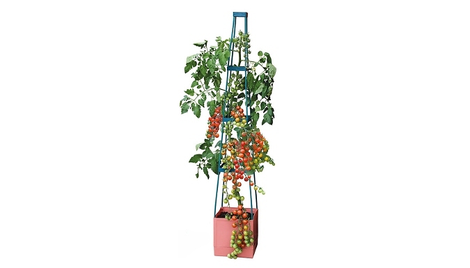 4-Tier Self-Watering Tomato Support Tower!