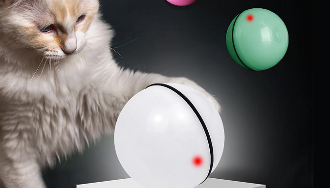 LED Rolling Flash Ball Cat Toy - 3 Colours