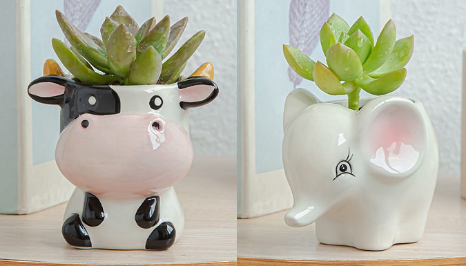Ceramic Cartoon Animal Plant Pots - 6 Designs