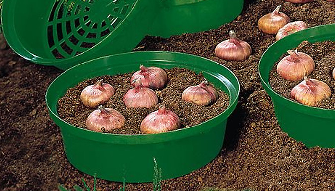 3, 5 or 10 Bulb Planting Baskets Deal Price £6.99