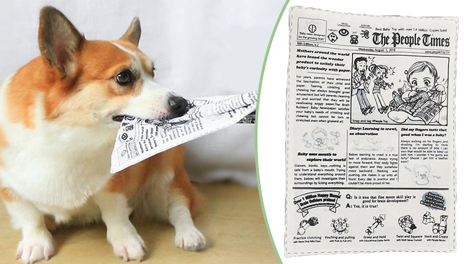 Squeaky newspaper clearance dog toy