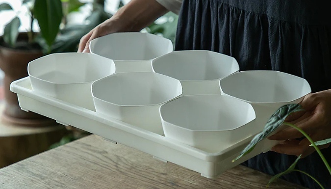 6-Pack Succulent Flower Pots with Drip Tray - 4 Colours