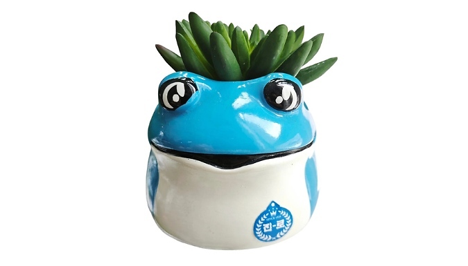 Frog-Shaped Succulent Plant Pot