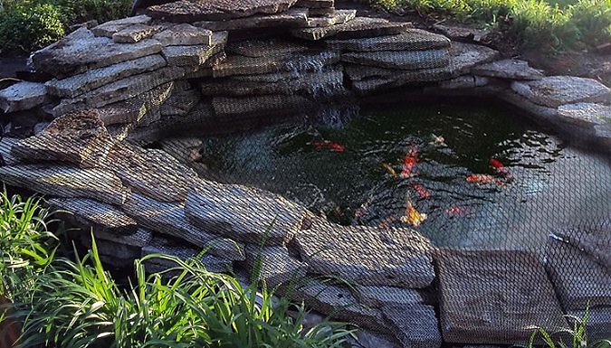 Heavy Duty Garden Pond Netting at Go Groopie