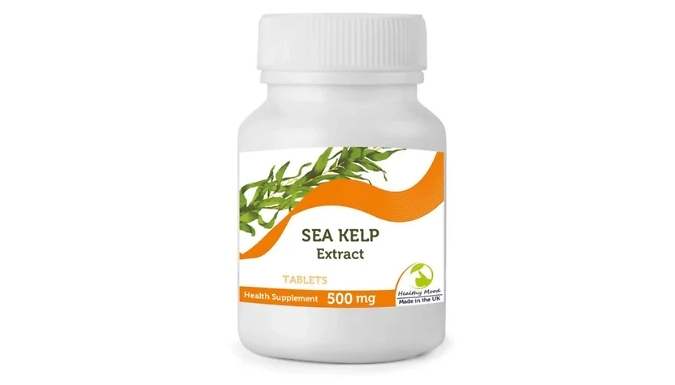 Thyroid Support & Hormone Regulating Sea Kelp Extract Tablets! - 500mg!